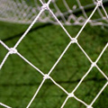 Dons sign a new forward on loan